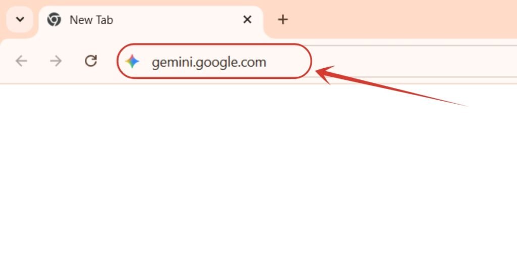 1. Will first go to https://gemini.google.com/.