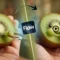 How to Create Viral AI Baby Fruit Eating Videos Step by Step Tutorial